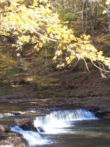 Crockett Falls, the location of David Crockett's extensive milling and distillery operation, is today a popular place to enjoy a beautiful day in the state park that bears Crockett's name. Photo by Clint Alley