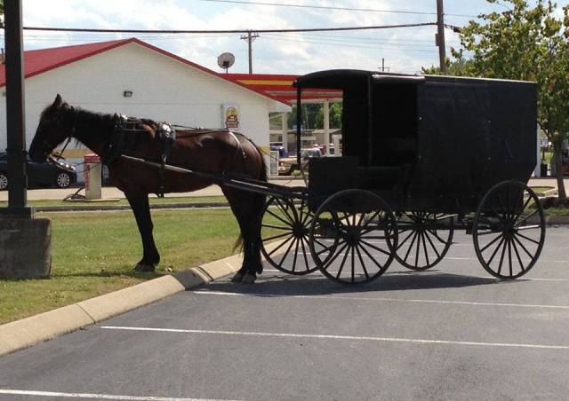 10981654_792361627520833_7154955456628642483_n